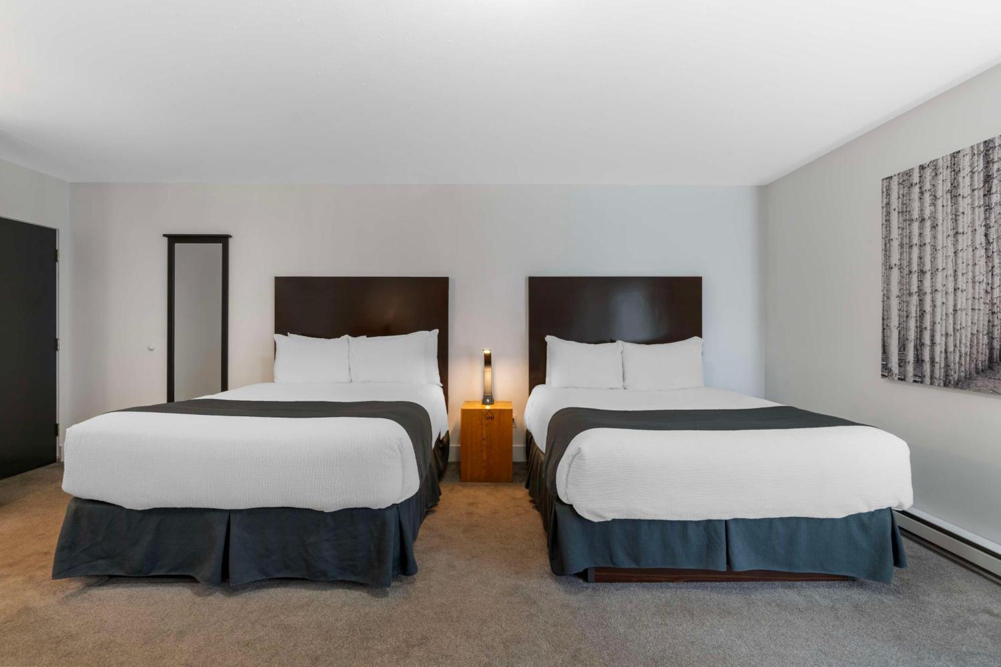 Stoke Hotel Surestay Collection By Best Western 雷夫尔斯托克 外观 照片
